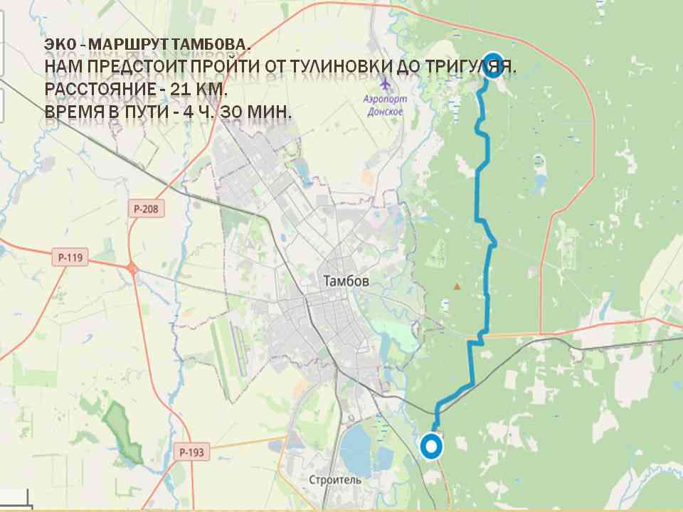 Тулиновка тамбовская область карта